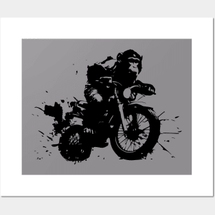 Monkey on the motorbike Posters and Art